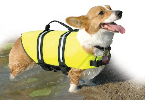 Corgi hotsell life vest